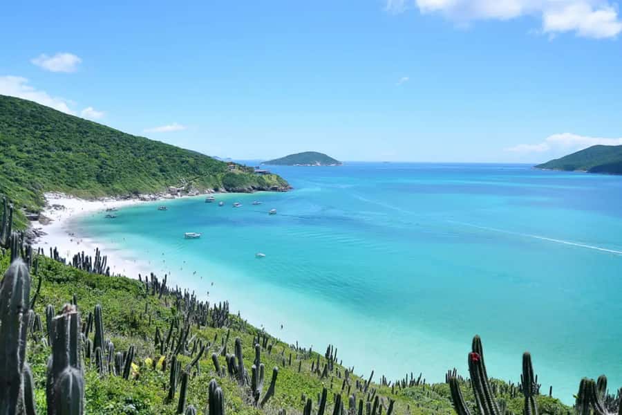 From Rio de Janeiro: Arraial do Cabo Island Day Trip - Why Arraial do Cabo makes a strong day trip from Rio