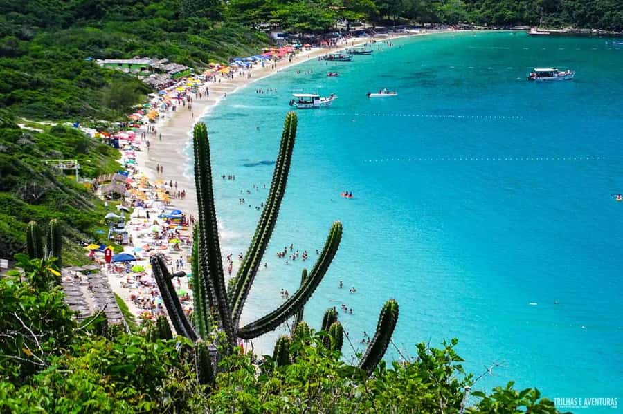 From Rio de Janeiro: Arraial do Cabo Island Day Trip - Blue Grotto and Fenda de Nossa Senhora