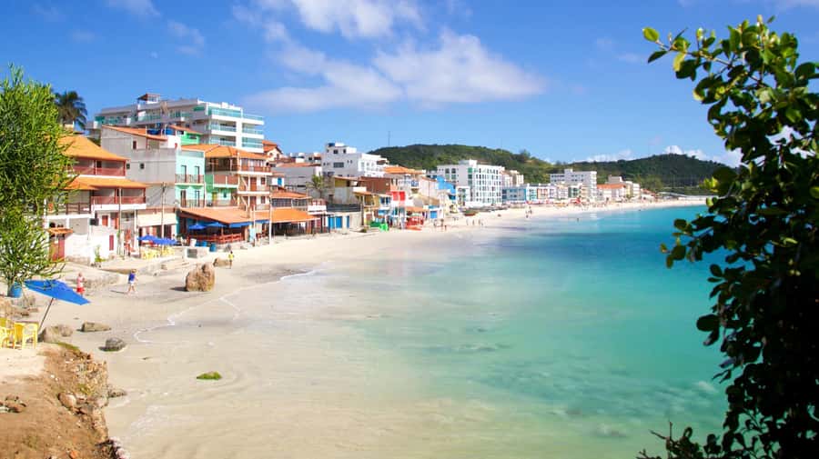 From Rio de Janeiro: Arraial do Cabo Island Day Trip - Swimming, marine life, and what to bring