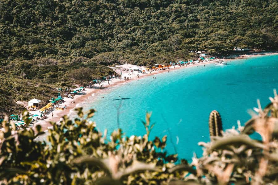 From Rio de Janeiro: Arraial do Cabo Island Day Trip - Lunch brings the day back to earth
