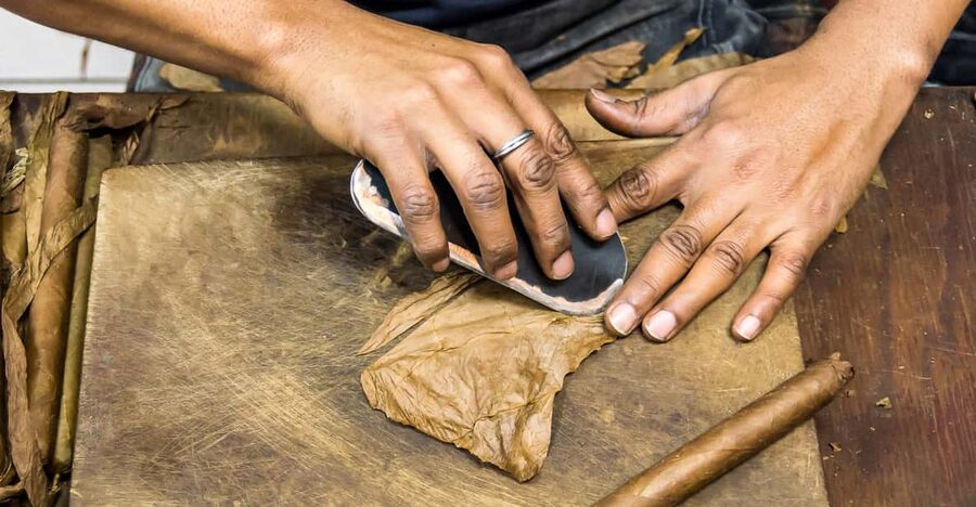 From Salvador: Cachoeira Colonial Town Daytrip - Dannemann Cigar Factory: a working craft stop