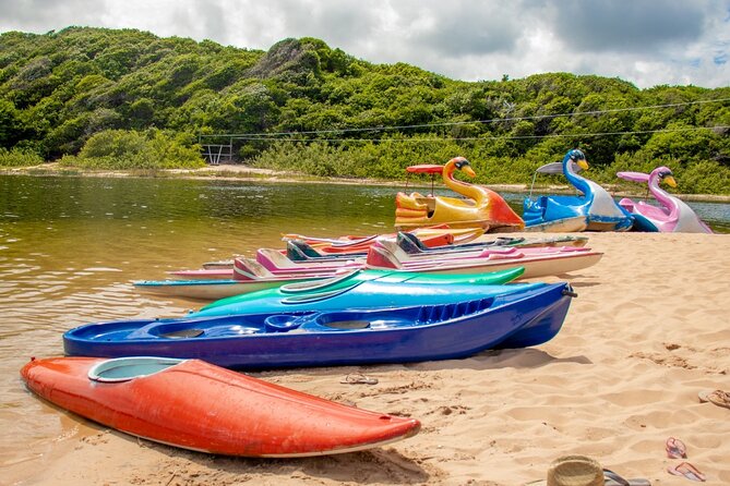 Full Day 4x4 South Coast Tour - Lagoa de Arituba: water and optional activities