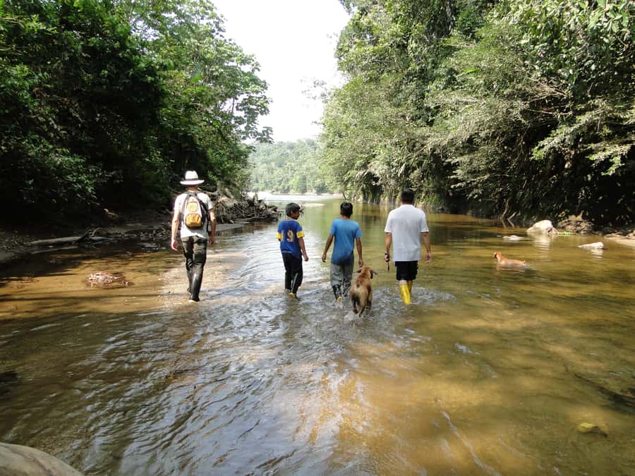 Grand Selva Tours 3 Day Jungle Expedition Ecuador all incl - Key points at a glance