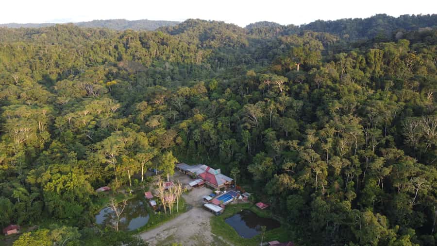 Grand Selva Tours 3 Day Jungle Expedition Ecuador all incl - What three days at Grand Selva really feels like