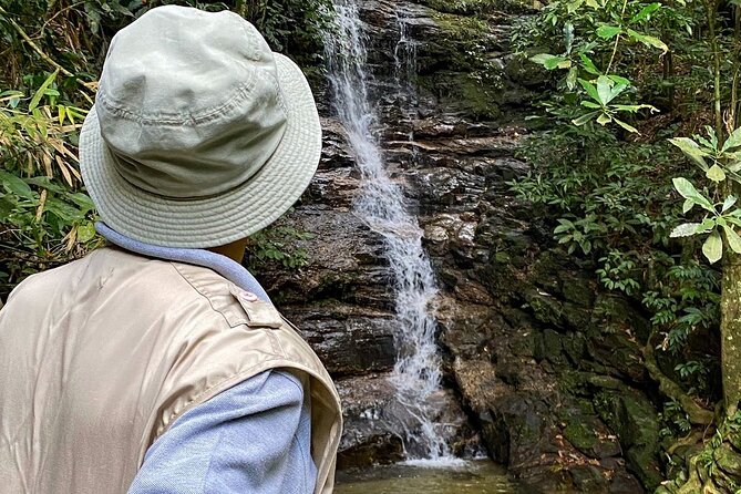 Hiking in the Tijuca Forest : Waterfalls and Caves - Why Tijuca Forest makes a smart half-day in Rio