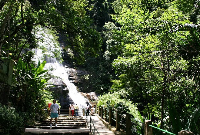 Jeep Adventure: Guided Tour through Tijuca Rain Forest - From Rio streets to Tijuca rainforest in ten minutes