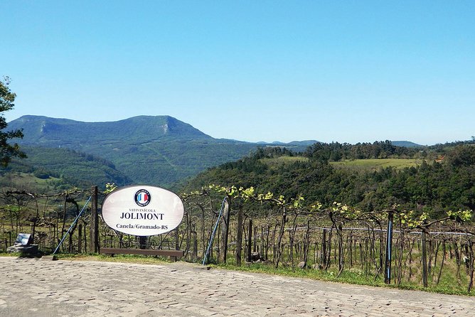 Jolimont Winery Tour - Visitation and Tasting - Canela RS - The tasting: eight products, not just wine
