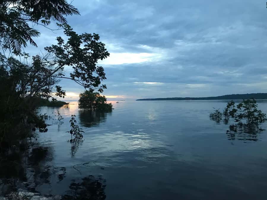 Manaus: 2-Day River Tour With Overnight Stay - From Manaus into the forest