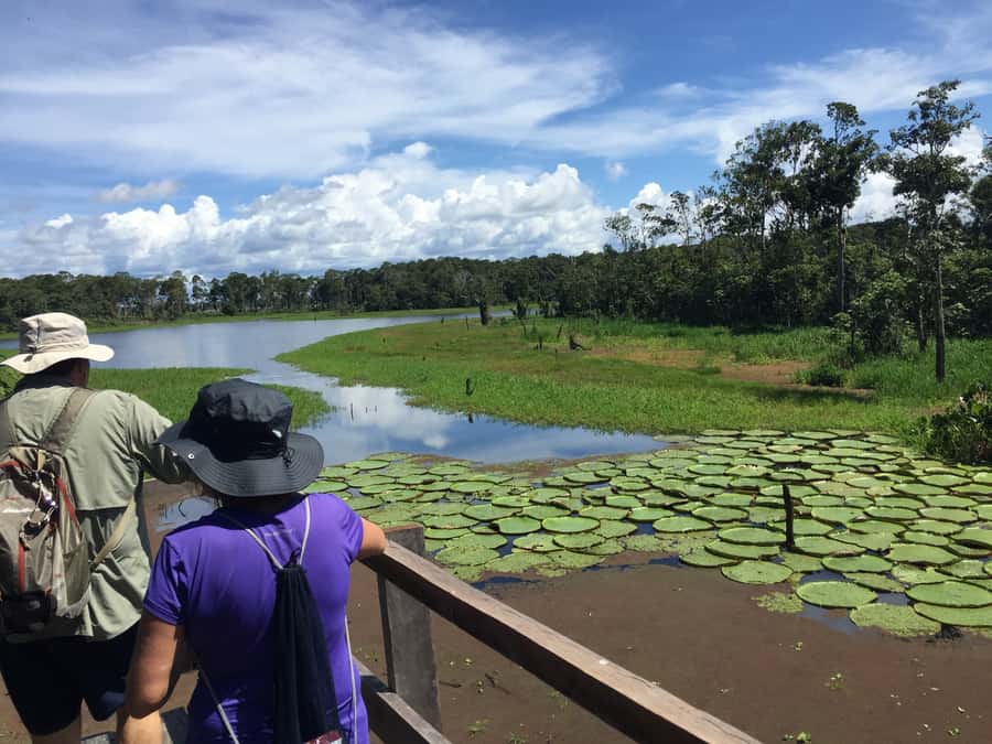 Manaus: 2-Day River Tour With Overnight Stay - Searching for caymans after dark
