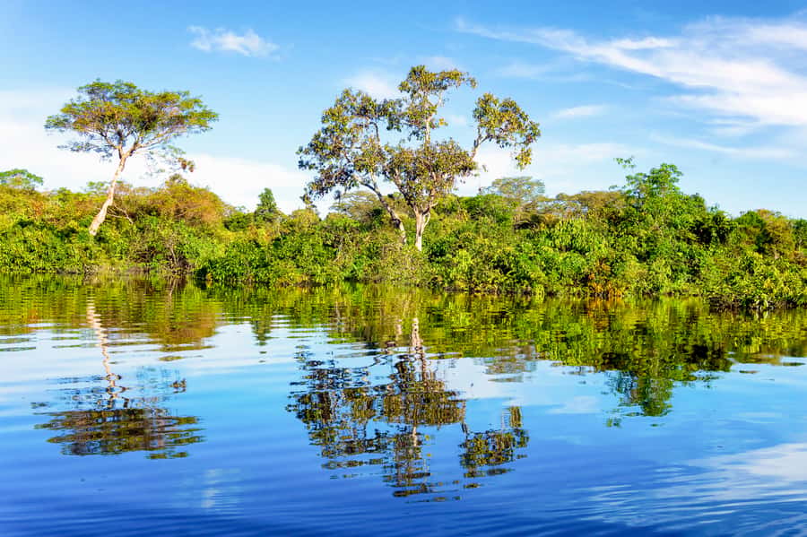 Manaus: Full-Day Tour on the Amazon River - What this Manaus Amazon tour really offers
