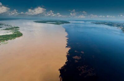 Full-Day Tour on the Amazon River
