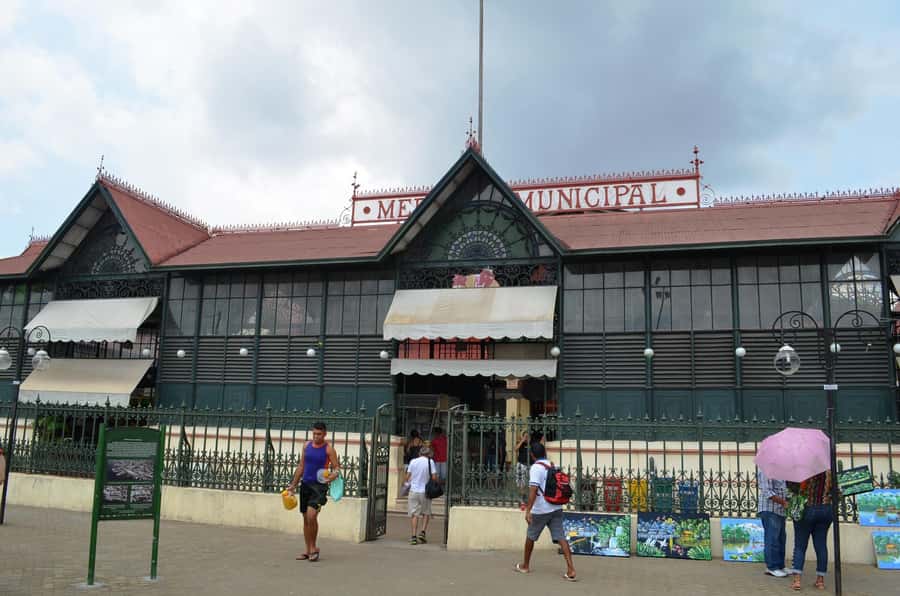 Manaus: Half-Day City Tour - Who should book this Manaus city tour?