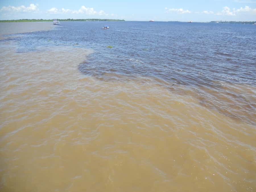 Manaus: Multi-Day Amazon Trip at Tapiri Floating Lodge - Key points to know before you book