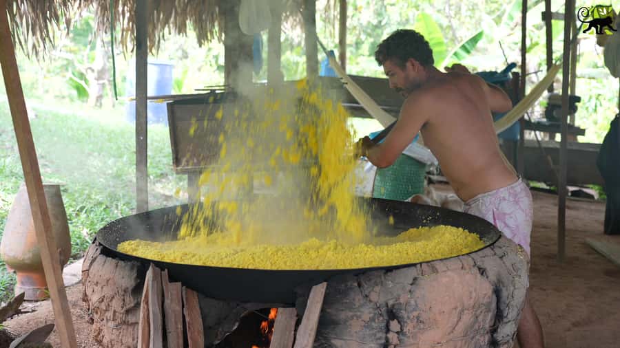 Manaus: Multi-Day Amazon Trip at Tapiri Floating Lodge - Day three: family life and the first night outside