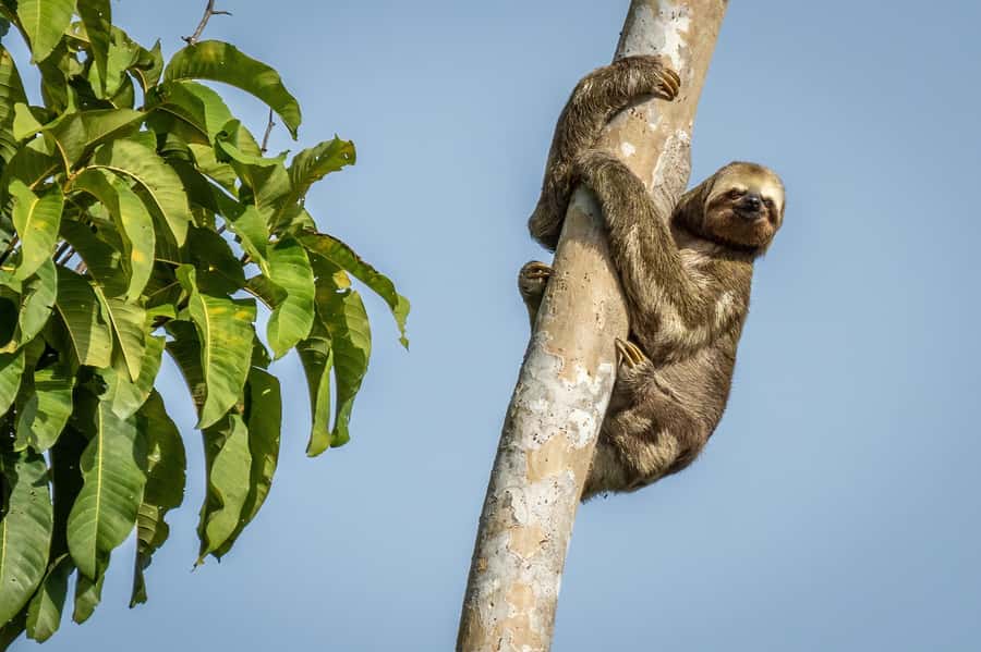 Manaus: Multi-Day Amazon Trip at Tapiri Floating Lodge - What the floating lodge is really like