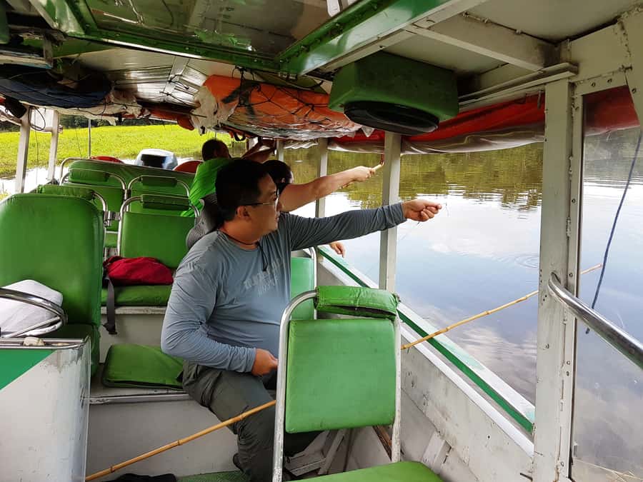 Manaus: Piranha Fishing and Alligator Watch Evening Tour - The close look at an alligator