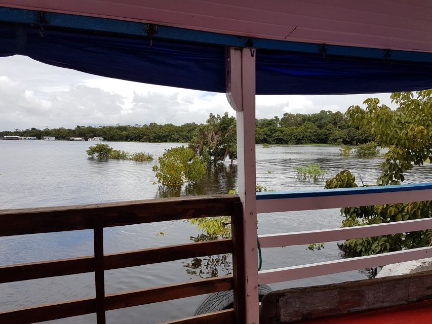 Manaus to Santarém: 36-Hour Ferry on the Amazon - Thirty-six hours beside the Amazon