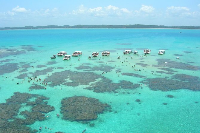 Maragogi / Alagoas Caribbean Brazilian - The catamaran ride and what the price covers