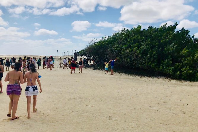 Paradise Lagoon tour - Why this private Jericoacoara route works well