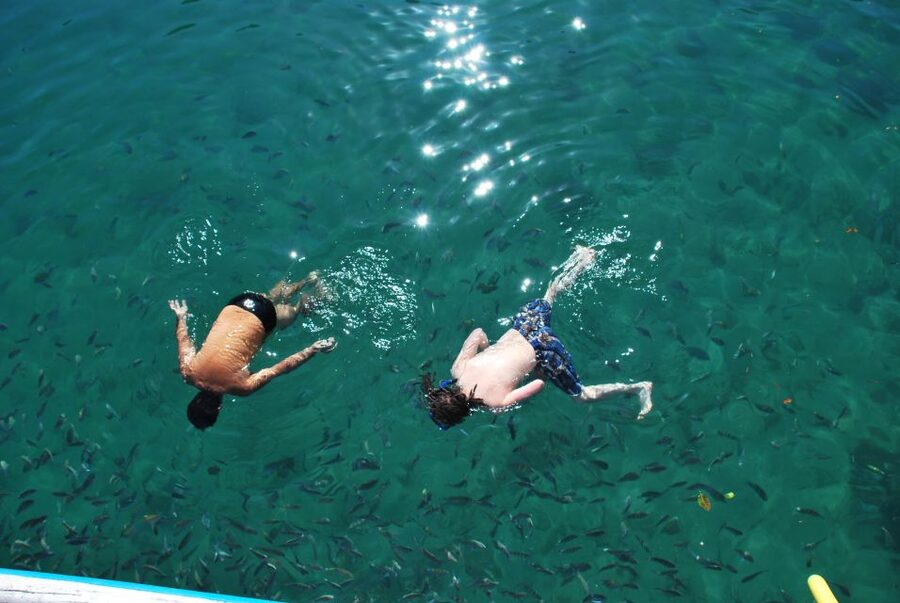 Paraty Bay: Islands & Beaches Boat Tour with Snorkeling - FAQ