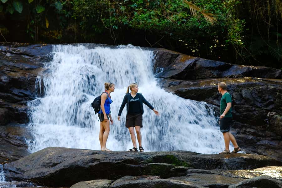 Paraty: Jungle Waterfalls and Cachaça Distillery Jeep Tour - Pedra Branca Waterfall and the rainforest trail