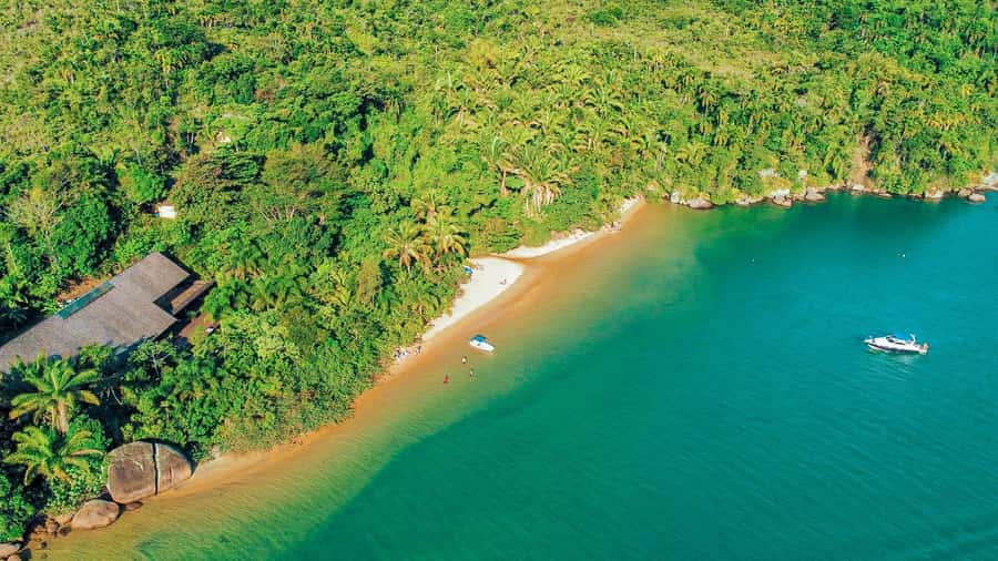 Paraty: Saco do Mamanguá Speedboat Tour - Key points to know before booking