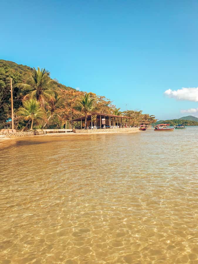 Paraty: Saco do Mamanguá Speedboat Tour - Communication, guides, and the group atmosphere