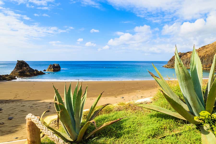 Pedra do Telégrafo Hike and Beach Full-Day Tour - Grumari or Prainha after the hike