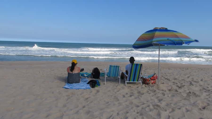 Pedra do Telégrafo Hike and Beach Full-Day Tour - Guides, pacing, and the human side of the tour