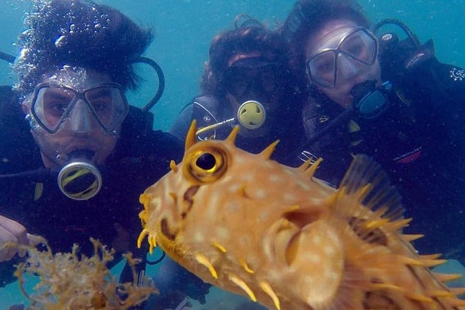 Private Program for Accredited Diver in Búzios - Why the natural pool is the main attraction