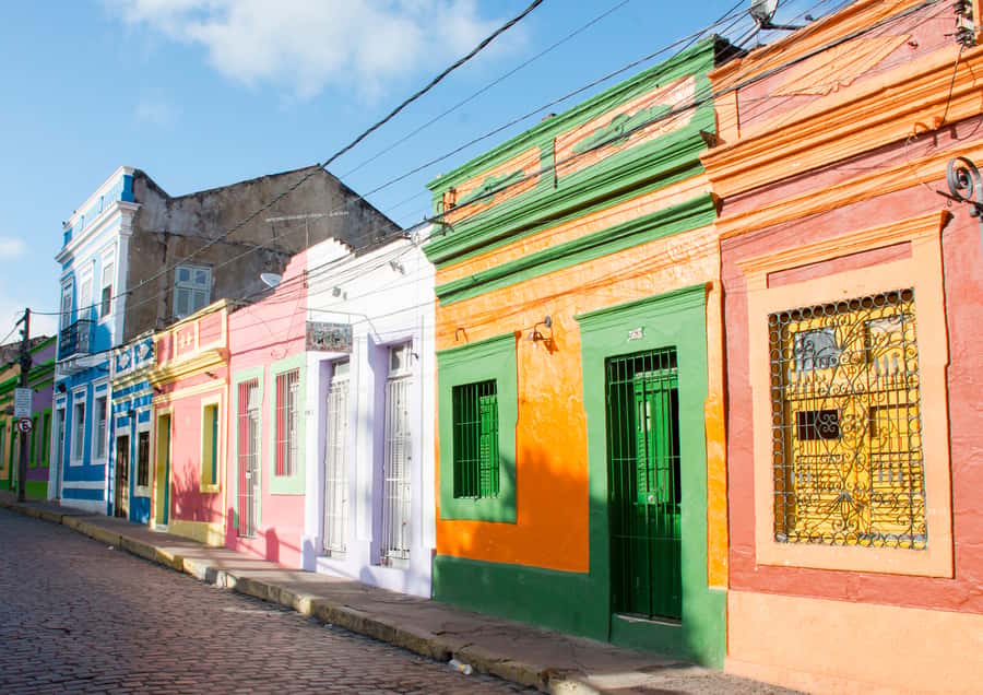 Recife: City Tour Recife & Olinda - Who should book this Recife and Olinda tour