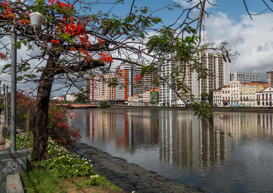 Recife: City Tour Recife & Olinda - Recife Antigo and Arsenal