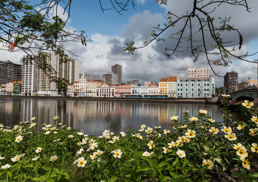 Recife: City Tour Recife & Olinda - Timing, weather, and walking