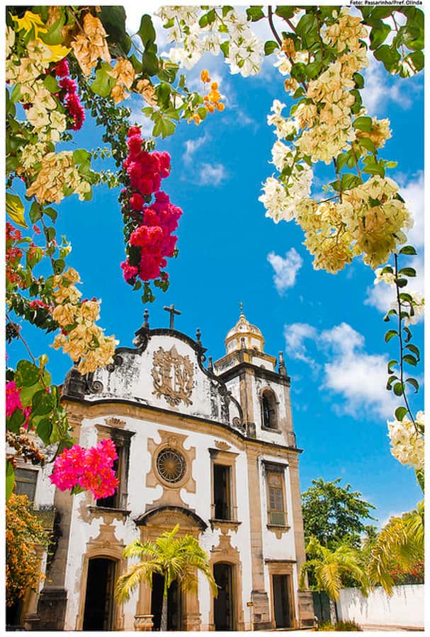 Recife & Olinda City Tour: Unveiling the Charm of Two Cities - Olinda trades traffic for steep lanes and old churches