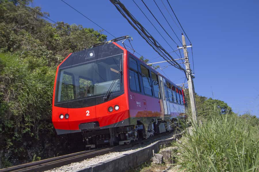 Rio: Christ Redeemer by Train & City Highlights Morning Tour - Taking the Corcovado Train through the forest