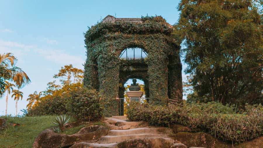 Rio de Janeiro: 4-Hour Botanical Garden & Tijuca Forest Tour - Starting at the Botanical Garden’s shaded paths