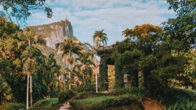 4-Hour Botanical Garden & Tijuca Forest Tour