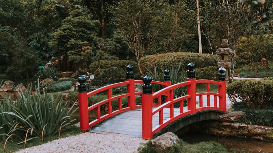 Rio de Janeiro: 4-Hour Botanical Garden & Tijuca Forest Tour - Guides are the biggest strength