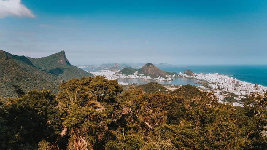 Rio de Janeiro: 4-Hour Botanical Garden & Tijuca Forest Tour - Is $51 a fair price?