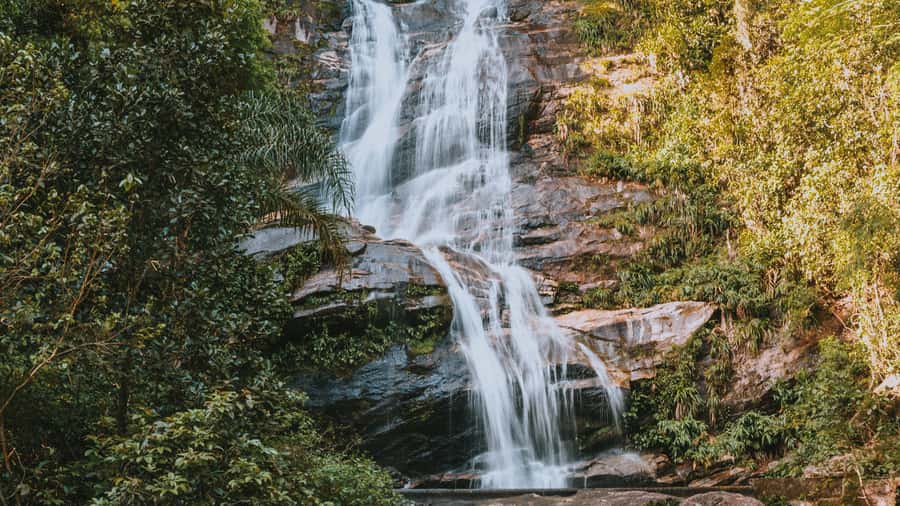 Rio de Janeiro: 4-Hour Botanical Garden & Tijuca Forest Tour - Should you book it?