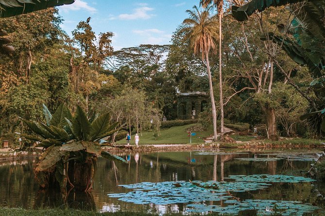 Rio de Janeiro Botanical Garden & Tijuca Forest Tour - Rio’s green side in a four-hour afternoon