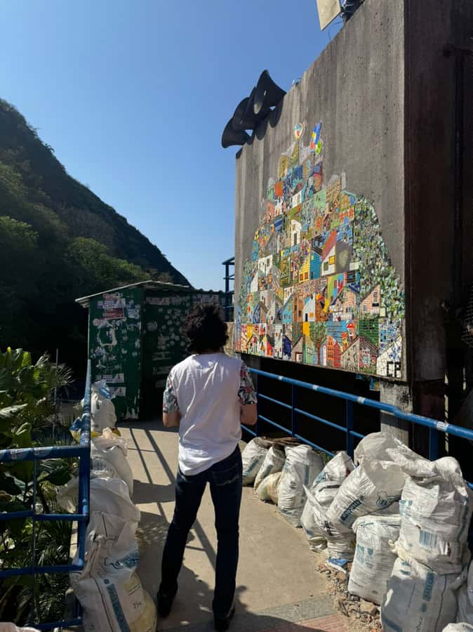 Rio de Janeiro: Favela Santa Marta Top Tour with Local Guide - Why a local guide changes Santa Marta