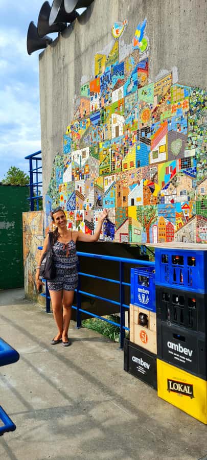 Rio de Janeiro: Favela Santa Marta Tour with Resident Guide - Who will enjoy this most