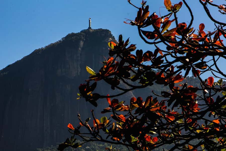 Rio de Janeiro: Guided Bike Tours in Small Groups - Why Rio works so well by bicycle
