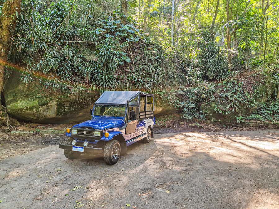 Rio de Janeiro: Guided Jeep Tour through Tijuca Rainforest - Is the Tijuca Jeep tour worth $90?