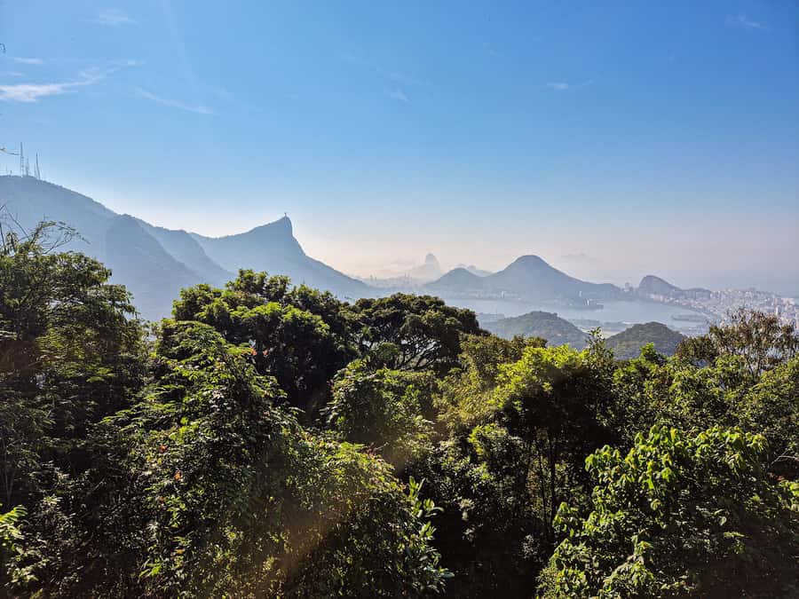 Rio de Janeiro: Guided Jeep Tour through Tijuca Rainforest - Pickup, duration, and practical planning