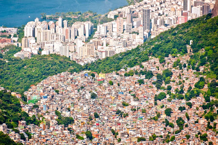 Rio De Janeiro: Half-Day Rocinha Favela Walking Tour - Meeting Wellington, Alberto, Daniel, or Martin