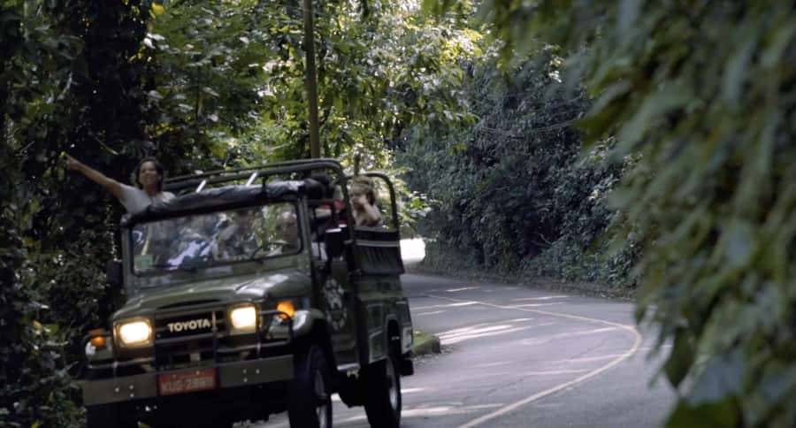 Rio de Janeiro: Jeep Tour in the Tijuca Forest - Why Tijuca Forest makes a smart Rio half-day
