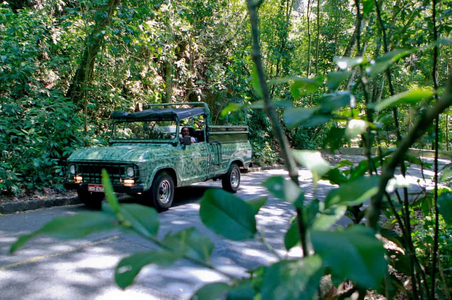 Rio de Janeiro: Jeep Tour in the Tijuca Forest - Tijuca National Park begins with a safety briefing