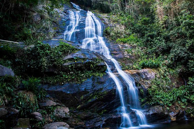 Rio de Janeiro Jeep Tour : Tijuca Forest - The first forest walk reaches Cachoeira dos Macacos